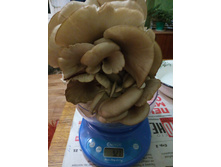 ������ ���� � ������� ������.