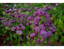 ���������-60�