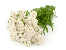 �������� ��������������.jpg