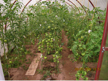 �������� 015.jpg