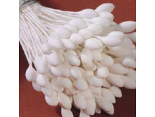 ������� ��� ������ "������������ ������� �����"