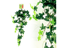 ������� ���������, 90��258,62 ���..jpeg