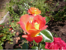 ��������� ����� � ������