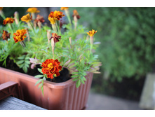 �������� ����.jpg