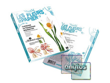 Nabor 1 nejnyy narciss norm.jpg