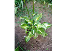 ���������?