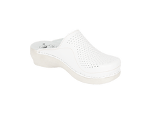 1450�. ��� 4302.png