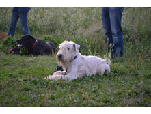 DSC 0112.JPG