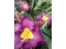 IMG 20160717 171843[1].jpg