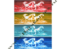 13C-8B2 65x135 ������