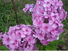 �������c