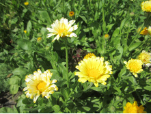 ���� 028.jpg