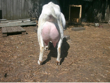 ������ 2 ����