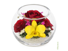 ���������� �� ��� � ������� (���. BSM3) - 1321 ���+%.jpeg