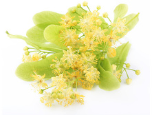 �������� ����.jpg