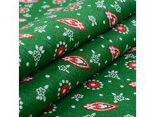 ���� �������� �������