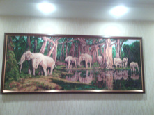 IMG 20160709 233152.jpg