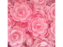 ������ 13*026*RB "���� �����"