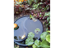 IMG 20160703 203044[1].jpg