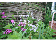 �������� ��������, ����������� ����������������