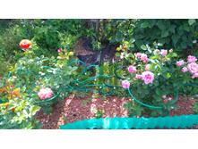 ������� (27).JPG