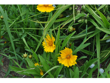 ��������� ���������������