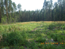 266.JPG