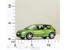 ��5079D Peugeot 307 205,70.jpg