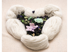 ��� ��������+ ��� �������