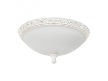 428010305 10000�.jpg