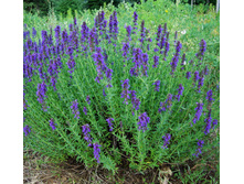 �����-50�