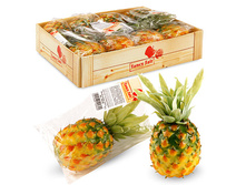 FF PN100 ����� ������, h10��292,45 ���..jpeg