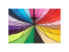 Zont-zhenskiy-386-dolphin-trost-mekhanika-24-spitsy-raduga 3.jpg