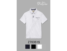 ���. Z70351S.jpg