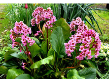 �����-50�