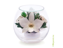 ���������� �� ����� ������� (���. BmiM-05) - 1019 ��� +%.jpeg