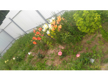 P 20160703 195236 1 p.jpg