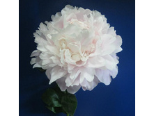 ���� Moon River ���� ��� ����� (Klehm, 1972, ���)  ������ 50��  5.07����