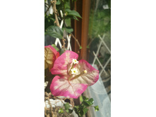 20160703 103158.jpg
