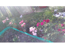 ������� (49).JPG