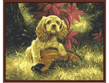 GL6205 ������������ ��������.jpg