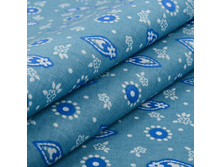 ���� �������� �����