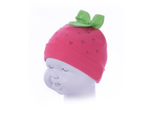 �������� ���� ������� (�����) ��� P-169 ���������� 220 ���