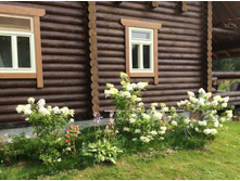 � ������ �ݣ ���. ������� � ���� ��� ����� �������� ���� ������ ������ :)