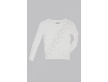 ���. 2495 DLSG.jpg