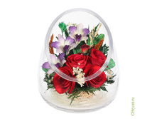 ���������� �� ����������� ��� � ������� (ApMM2) - 2352 ���+%.jpeg