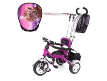 54 ���������  3-���. �������