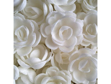 ������ 13*026*RG "���� �����"