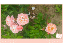 P 20160721 130039 1 p 1 1.jpg