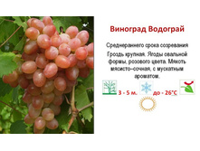 �������� �������� 160���..jpg